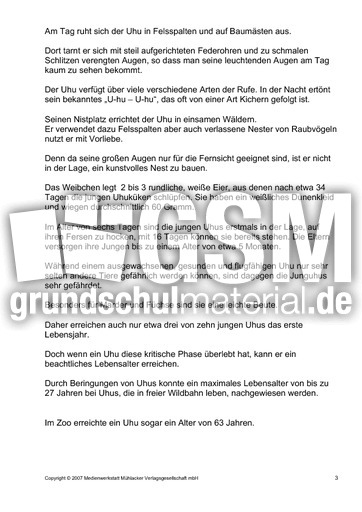 Fehlerlesen-Uhu-3-4-nur-Text-3.pdf